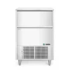 Arktic Ijsblokjesmachine 90kg/dag (42kg voorraad)