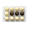 Chocolade Holvorm Halve Bol (12x) Ø50 mm