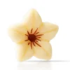 Dobla Chocoladedecoratie Bloemetje Wit (76 stuks)