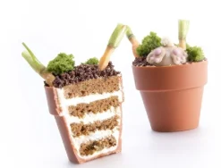 Dobla Chocoladedecoratie Bloempot Mini (24 stuks)