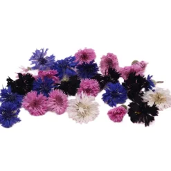 Eetbare Gedroogde Korenbloemen (50 stuks)