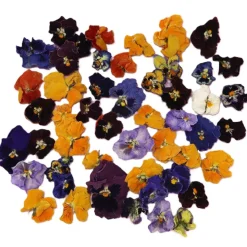 Eetbare Gedroogde Viooltjes (50 stuks)