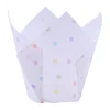 PME Muffin Cups Regenboog Stippen 24st