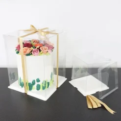 PME Taartdoos Transparant 35x35x38cm