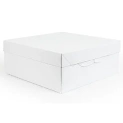 PME Taartdoos 35x35x15cm