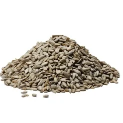 Stolp Zonnebloempitten 25kg**