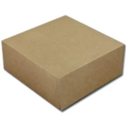 Taartdoos 19x19x8cm. Kraft 50st