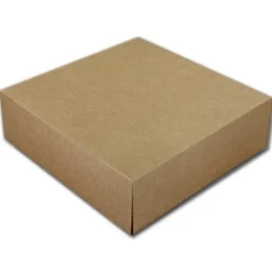Taartdoos 21x21x10cm. Kraft 50st