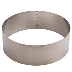 Taartring RVS Ø20x5cm
